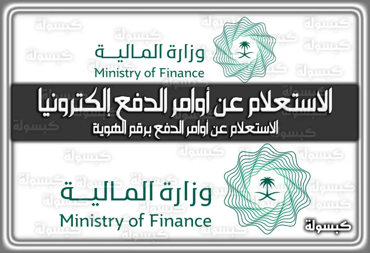 الاستعلام عن أوامر الدفع إلكترونيا وزارة المالية