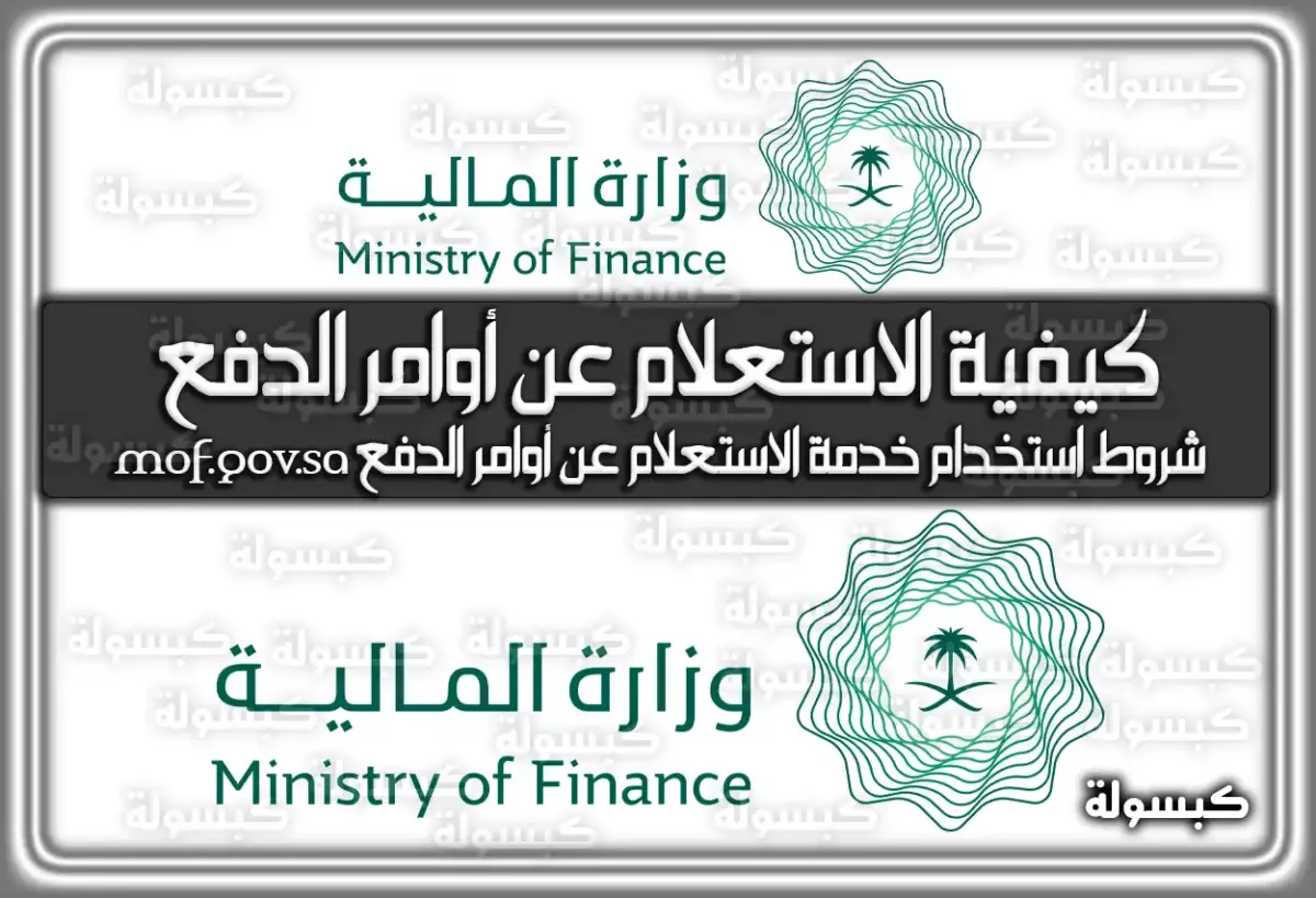 كيفية الاستعلام عن أوامر الدفع وزارة المالية خدمة الأفراد